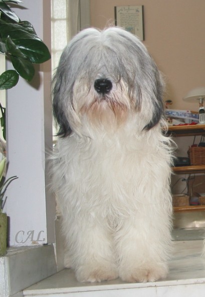 AOUT 2007